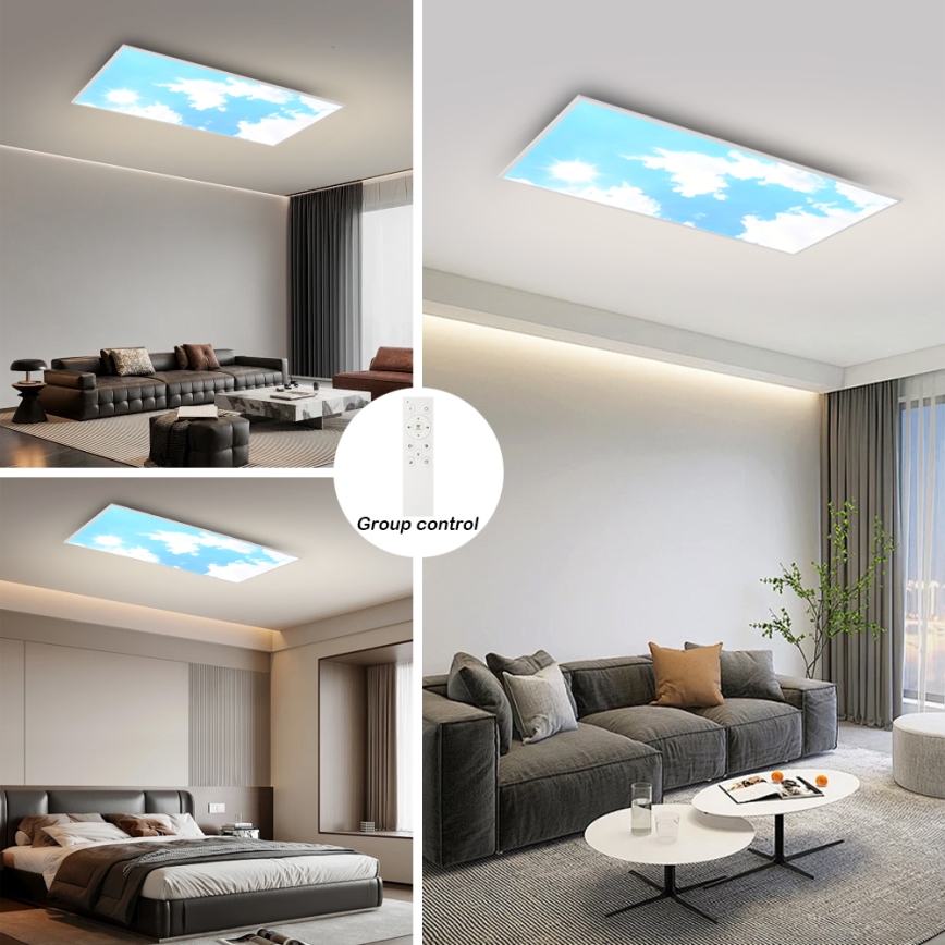 Brilagi - Plafonnier LED dimmable SLIMFRAME SKY LED/80W/230V 120x60 cm 3000-6000K argenté/bleu + télécommande