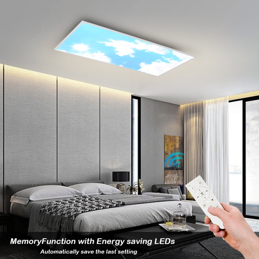 Brilagi - Plafonnier LED dimmable SLIMFRAME SKY LED/80W/230V 120x60 cm 3000-6000K argenté/bleu + télécommande