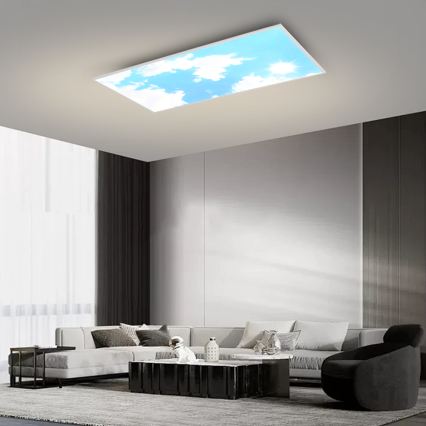 Brilagi - Plafonnier LED dimmable SLIMFRAME SKY LED/80W/230V 120x60 cm 3000-6000K argenté/bleu + télécommande