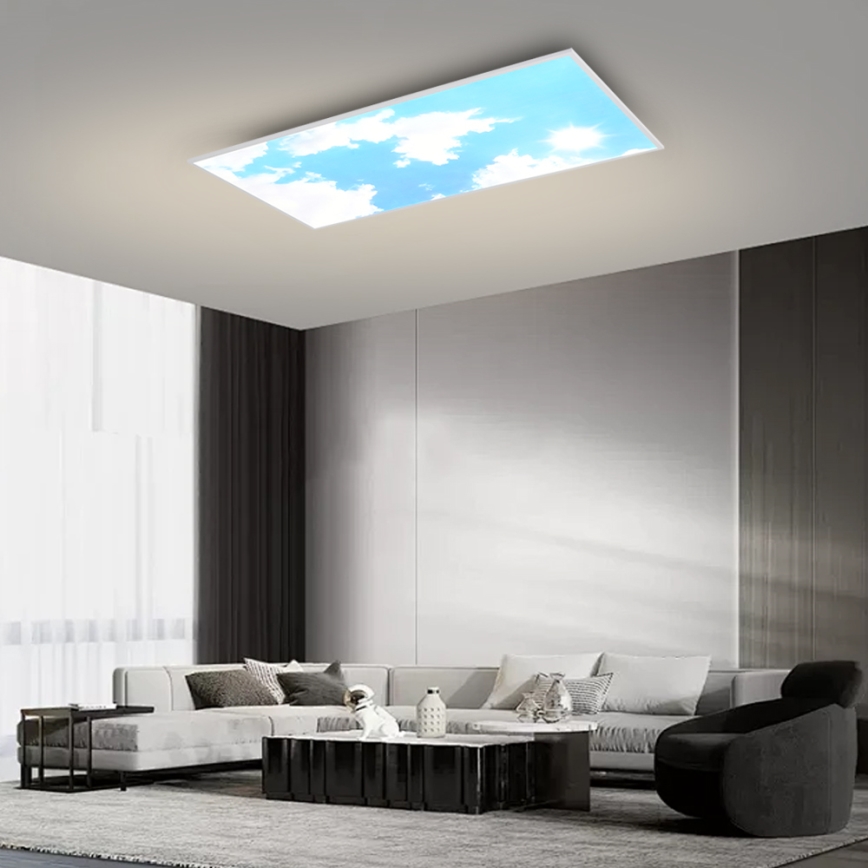 Brilagi - Plafonnier LED dimmable SLIMFRAME SKY LED/80W/230V 120x60 cm 3000-6000K argenté/bleu + télécommande