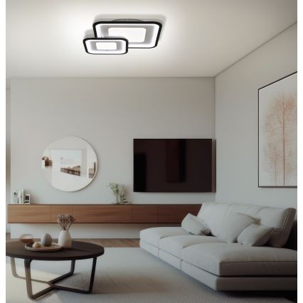 Brilagi - Plafonnier LED dimmable TANDORA LED/49W/230V 3000-6000K avec télécommande