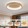 Brilagi - Plafonnier LED FALCON WOOD, 40 W, 230 V, 3000/4000/6000 K, Ø 60 cm, finition bois