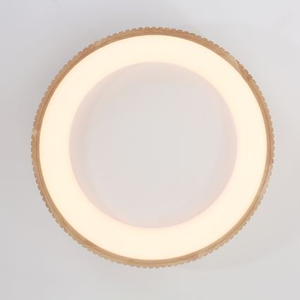 Brilagi - Plafonnier LED FALCON WOOD MODERN LED/40W/230V 3000/4000/6000K Ø 60 cm bois