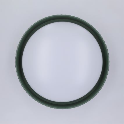 Brilagi - Plafonnier LED LUCIA LED/24W/230V Ø 31 cm vert