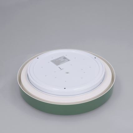 Brilagi - Plafonnier LED MATTEO LED/24W/230V Ø 31 cm vert