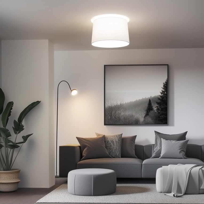 Brilagi - Plafonnier LED monté en surface CERIA, 1 x E27 / 40 W / 230 V, Ø 45 cm, blanc