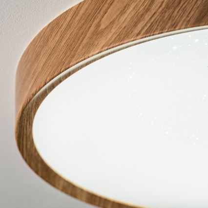 BRILAGI - Plafonnier LED NATURA LED/12W/230V 4000K diam. 26,3 cm