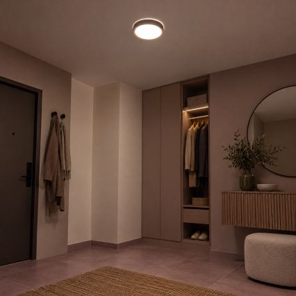 BRILAGI - Plafonnier LED NATURA LED/12W/230V 4000K Ø 26,3 cm