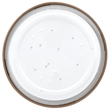BRILAGI - Plafonnier LED NATURA LED/12W/230V 4000K Ø 26,3 cm