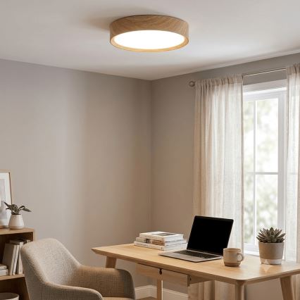Brilagi - Plafonnier LED NATURA LED/24W/230V 3000K Ø 38,3 cm