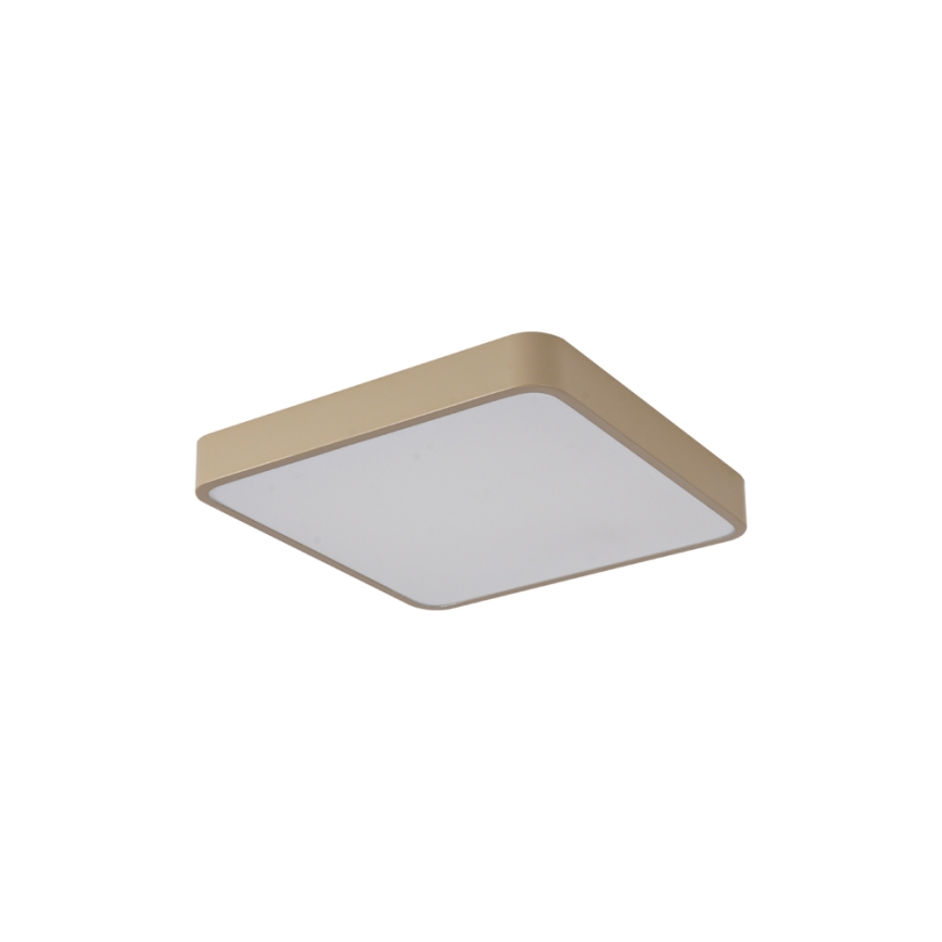 Brilagi - Plafonnier LED POOL 36W/230V 3000/4000/6000K 40x40 cm beige