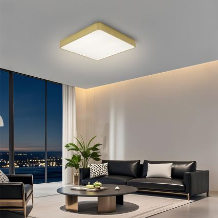 Brilagi - Plafonnier LED POOL LED/36W/230V 3000/4000/6000K 40x40 cm doré