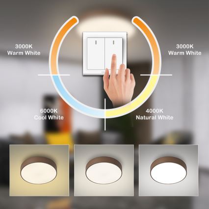 Brilagi - Plafonnier LED POOL 48W/230V 3000/4000/6000K Ø 40 cm marron