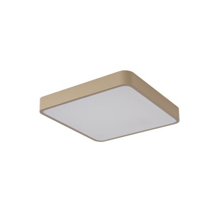 Brilagi - Plafonnier LED POOL LED/48W/230V 3000/4000/6000K 50x50 cm beige