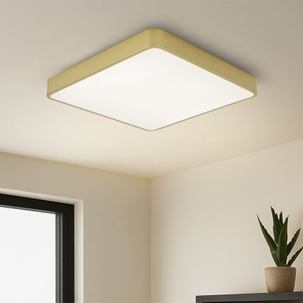 Brilagi - Plafonnier LED POOL LED/48W/230V 3000/4000/6000K 50x50 cm doré