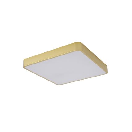 Brilagi - Plafonnier LED POOL LED/48W/230V 3000/4000/6000K 50x50 cm doré