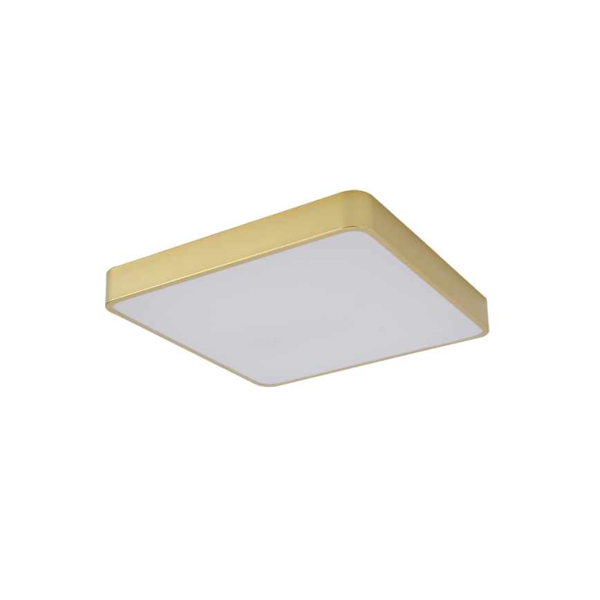 Brilagi - Plafonnier LED POOL LED/48W/230V 3000/4000/6000K 50x50 cm doré