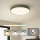 Brilagi - Plafonnier LED POOL LED/48W/230V 3000/4000/6000K pr. 40 cm vert