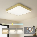 Brilagi - Plafonnier LED POOL SQUARE LED/48W/230V 3000/4000/6000K 50x50 cm doré