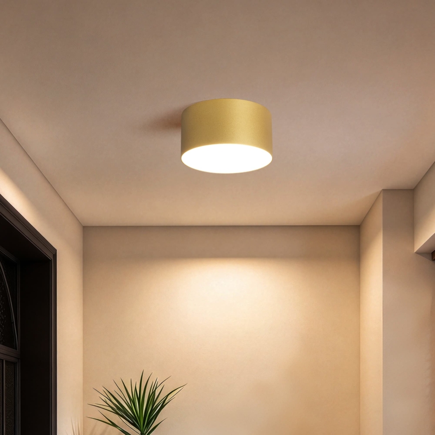 BRILAGI - Plafonnier LED pour salle de bains FORIS LED/14W/230V Ø 12 cm doré IP44