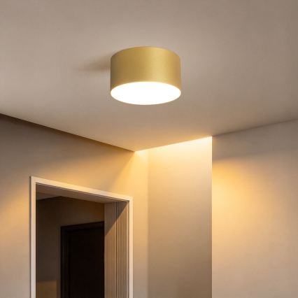 BRILAGI - Plafonnier LED pour salle de bains FORIS LED/14W/230V Ø 12 cm doré IP44