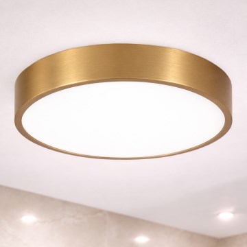 Brilagi - Plafonnier LED pour salle de bains POOL LED/36W/230V 3000/4000/5500K Ø 40 cm IP54 bronze