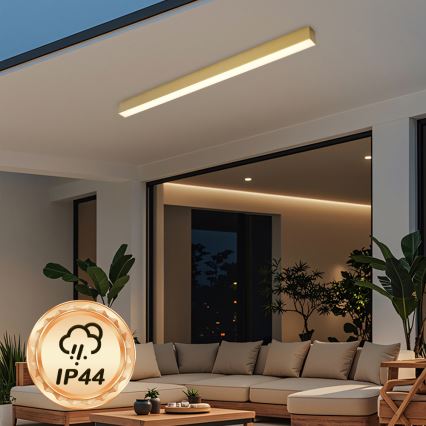 Brilagi - Plafonnier LED pour salle de bains SLEEKLINE LED/40W/230V 3000/4500/6000K doré IP44