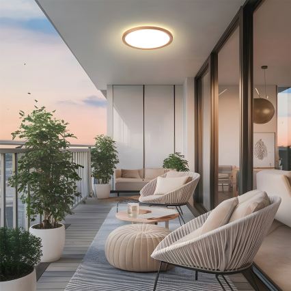 Brilagi - Plafonnier de salle de bains ULTRA SLIM LED/24W/230V Ø 42 cm or rose IP54