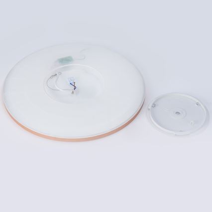 Brilagi - Plafonnier de salle de bains ULTRA SLIM LED/24W/230V Ø 42 cm or rose IP54