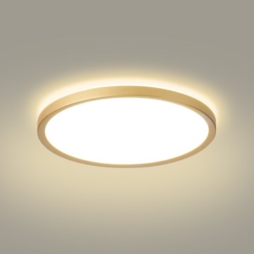 Brilagi - plafonnier LED pour salle de bains ULTRA SLIM LED/24W/230V Ø 42 cm doré IP54