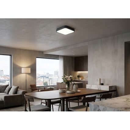 BRILAGI - Plafonnier LED pour salle de bains ZENNA LED/18W/230V 28,5x28,5 cm IP44 anthracite