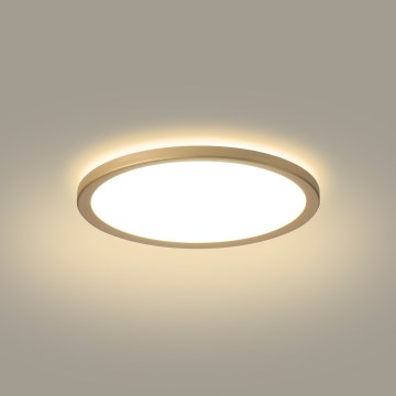Brilagi - Plafonnier LED ULTRA SLIM pour salle de bains LED/12W/230V Ø 22,5 cm doré IP54