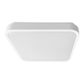 Brilagi - Plafonnier LED ZENNA pour salle de bains avec capteur de mouvement, 24 W, 230 V, 34,5 x 34,5 cm, IP44, blanc + télécommande