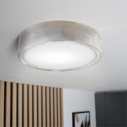 Brilagi - Plafonnier PINO 1xE27/15W/230V pin/argent Ø 27,5 cm