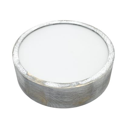 Brilagi - Plafonnier PINO 1xE27/15W/230V pin/argent Ø 27,5 cm