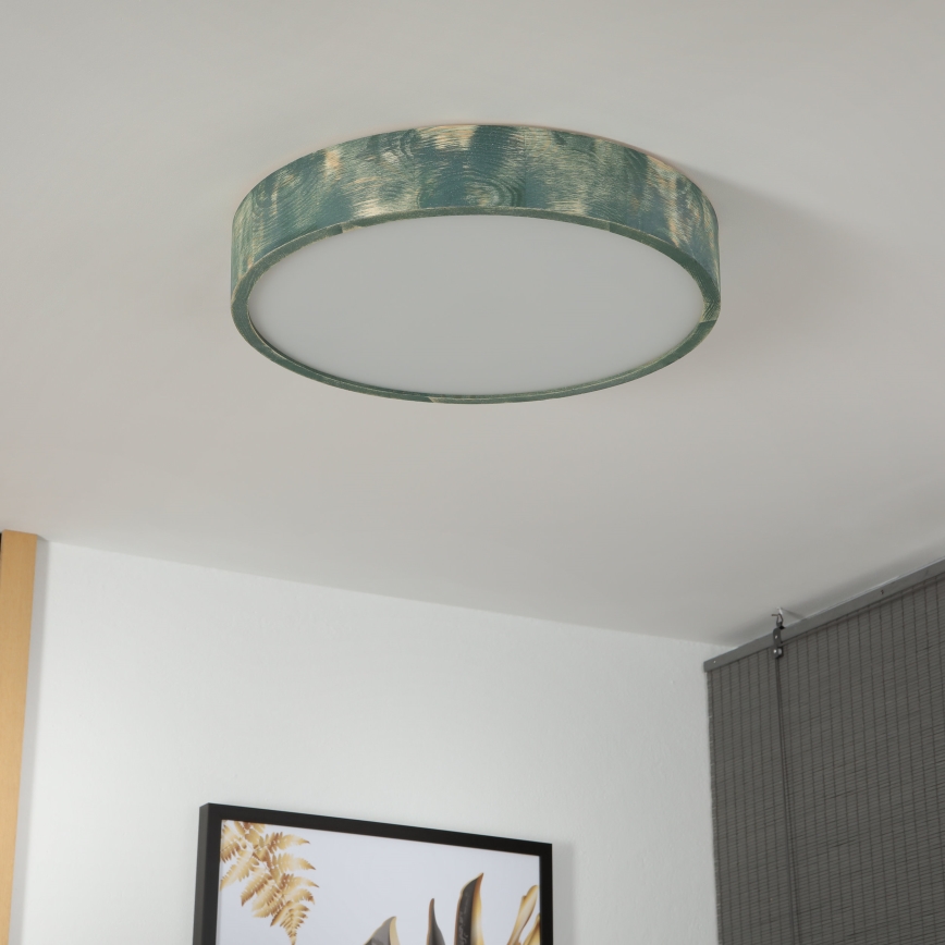 Brilagi - Plafonnier PINO 3xE27/15W/230V, pin/vert, Ø 47,5 cm