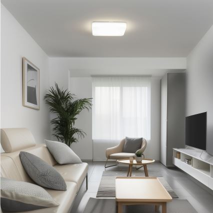 Brilagi - Plafonnier PLAIN LED/24W/230V 3000K