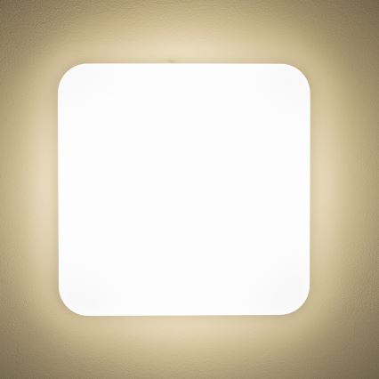 Brilagi - Plafonnier PLAIN LED/24W/230V 3000K