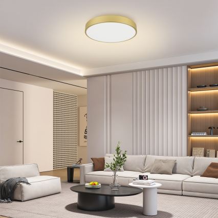 Brilagi - Plafonnier POOL LED/60W/230V 3000/4500/6000K Ø 60 cm doré