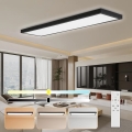 Brilagi - Plafonnier salle de bain à intensité variable FRAME SMART LED/50W/230V 30x120 cm 3000-6000K IP44 noir + télécommande