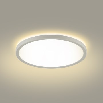 Brilagi - Plafonnier salle de bain ULTRA SLIM LED/12W/230V d. 22,5 cm blanc IP54