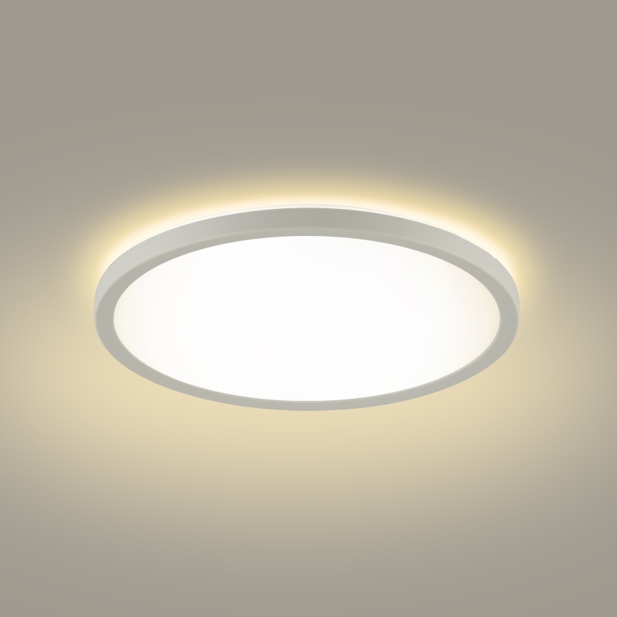 Brilagi - Plafonnier salle de bain ULTRA SLIM LED/12W/230V d. 22,5 cm blanc IP54