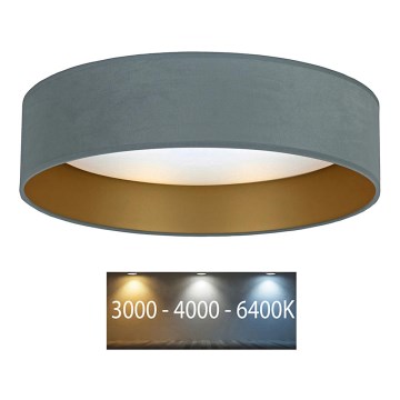 Brilagi - Plafonnier VELVET LED/12W/230V d. 30 cm 3000K/4000K/6400K menthe/doré