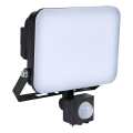 BRILAGI - Projecteur LED avec capteur ELARA PRO LED/30W/230V IP65