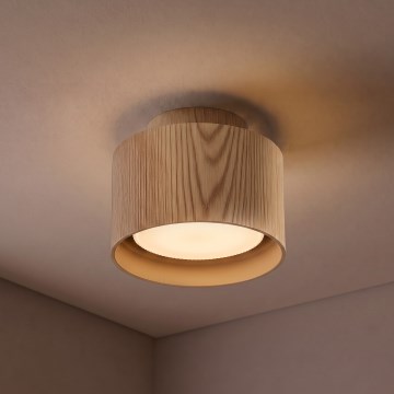 Brilagi - Spot BACKLIT 1xGX53/15W/230V Ø 10 cm décor chêne