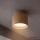 Brilagi - Spot BACKLIT 1xGX53/15W/230V, Ø 8 cm, décor chêne