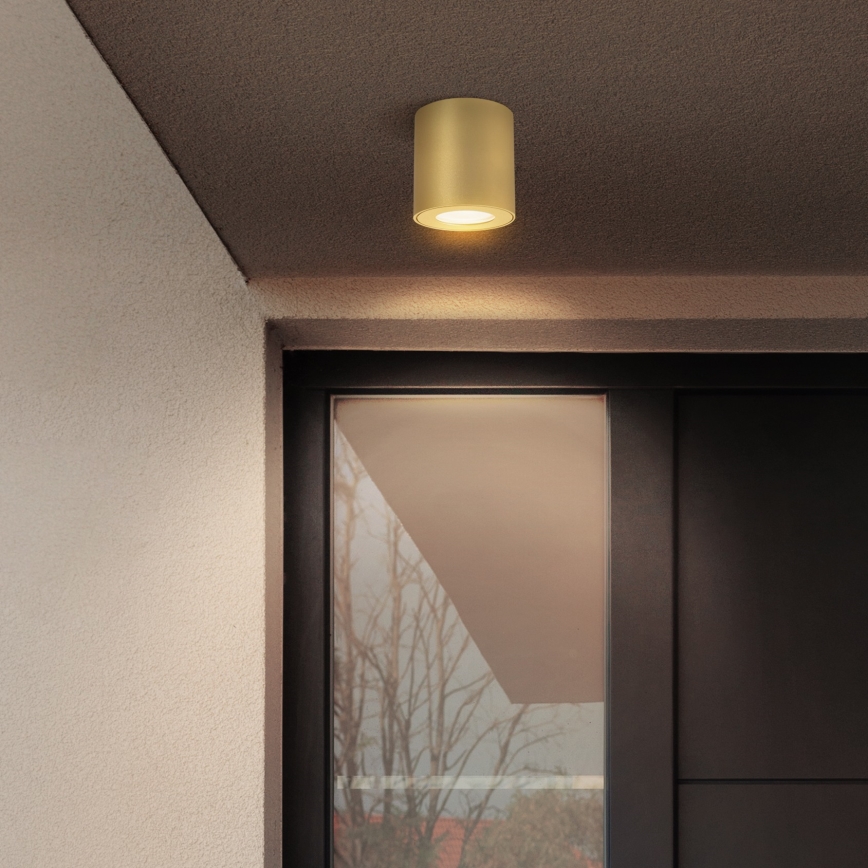 Brilagi - Spot de salle de bains MIA 1xGU10/30W/230V 84x80 mm doré IP54