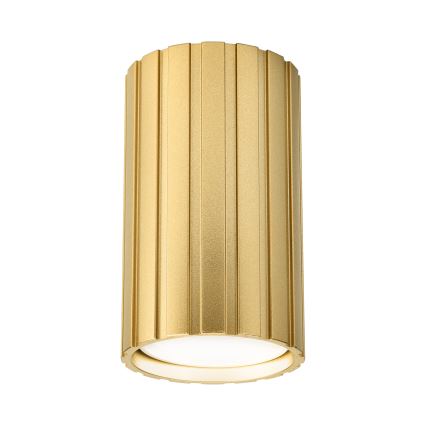 Brilagi - Spot d'éclairage CRISPINA 1xGU10/10W/230V 10 cm doré