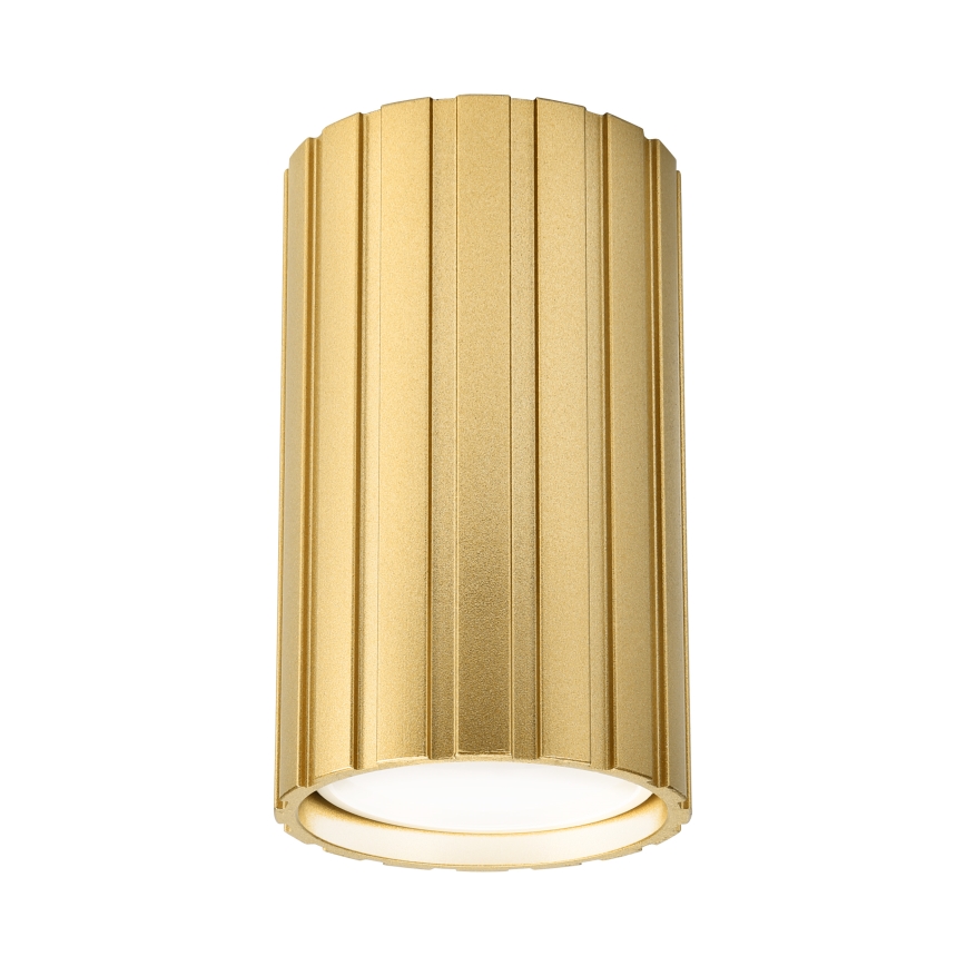 Brilagi - Spot d'éclairage CRISPINA 1xGU10/10W/230V 10 cm doré