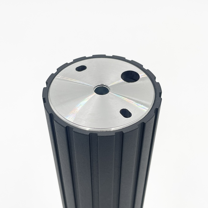 Brilagi - Spot d'éclairage CRISPINA 1xGU10/10W/230V 20 cm noir